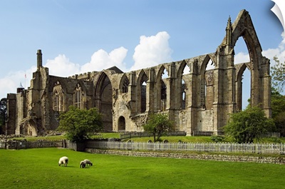 England, Yorkshire, Yorkshire Dales National Park, Bolton Abbey, old ruin of a church