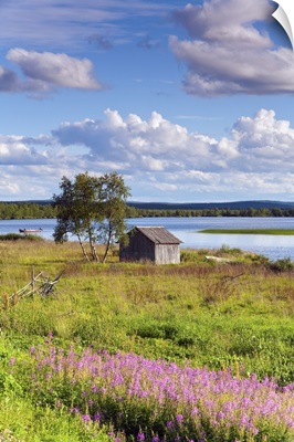 Finland, Lappi, Idyllic landscape near Kilpisjarvi, Arctic Circle, Lapland