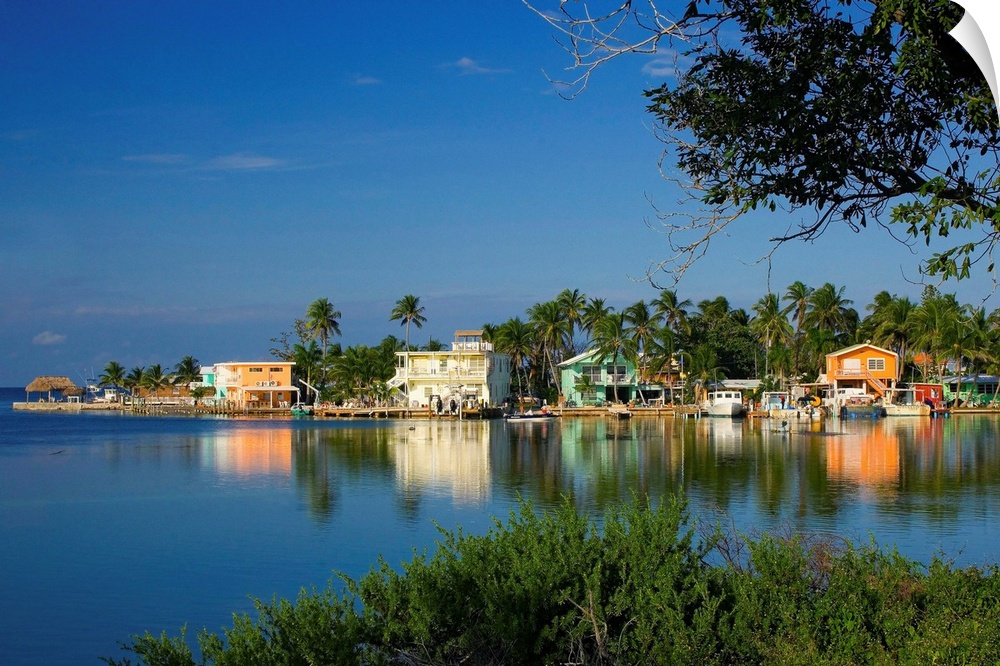 United States, USA, Florida, Florida Keys, Landscape at Conch Key