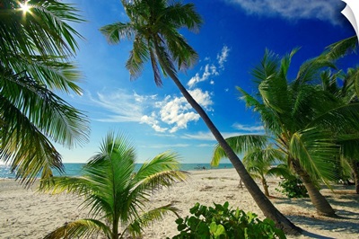 Florida, Ft. Myers Beach, The beach