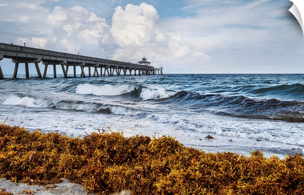 Florida, South Florida, Deerfield Beach, pier.