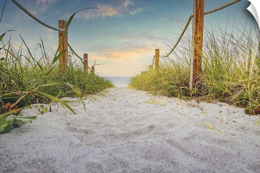 Florida, South Florida, Delray Beach, pathway leading toward beach.