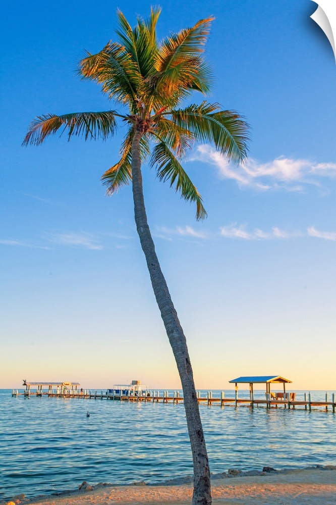 Florida, The Keys, Islamorada.