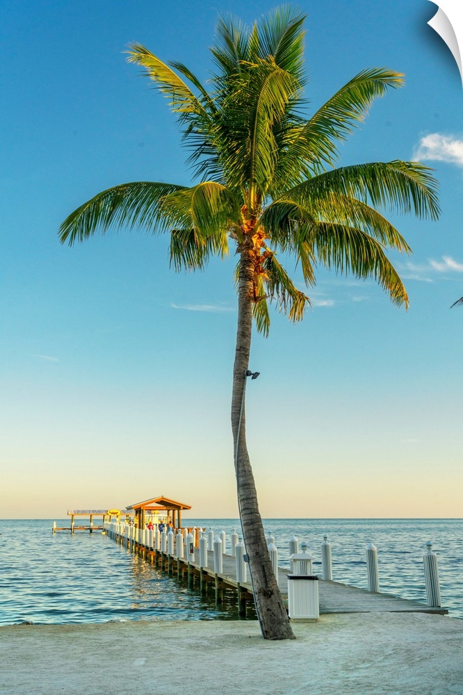 Florida, The Keys, Islamorada.