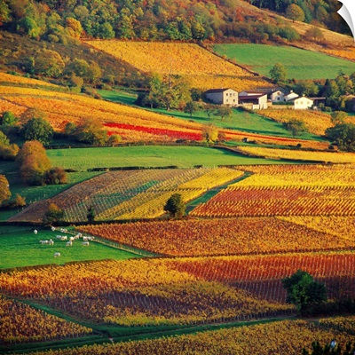 France, Burgundy, Countryside near Pierreclos village