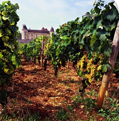 France, Burgundy, Rully, Saone-et-Loire, Rully castle and vineyard