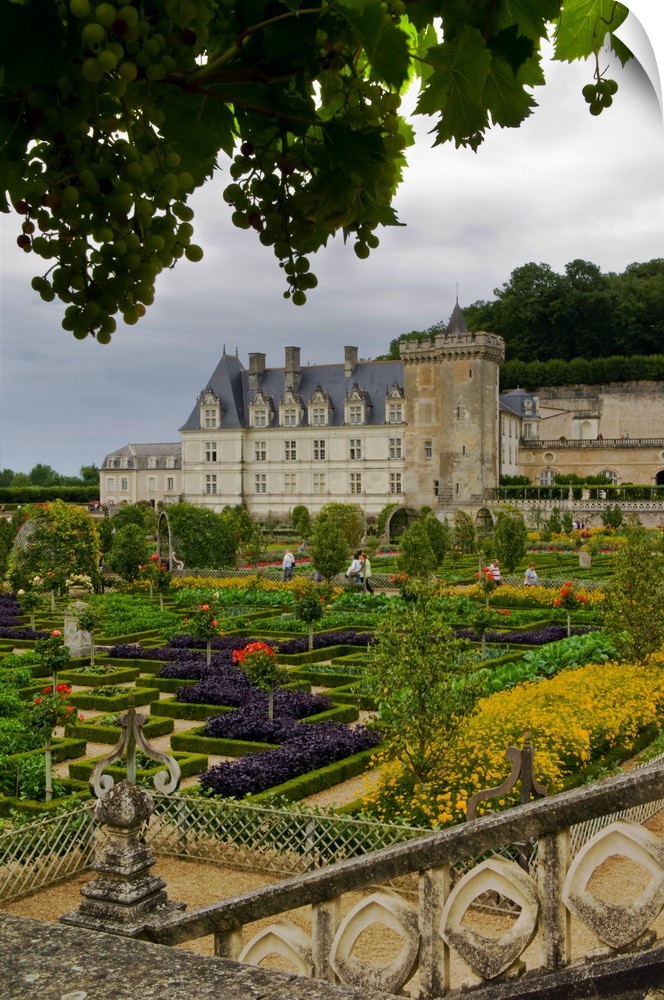 France, Centre, Villandry, Loire Valley, gardens of Chateau de Villandry