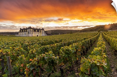 France, Chateau Clos De Vougeot & Its Vineyards Along Route Des Grands Crus At Sunset