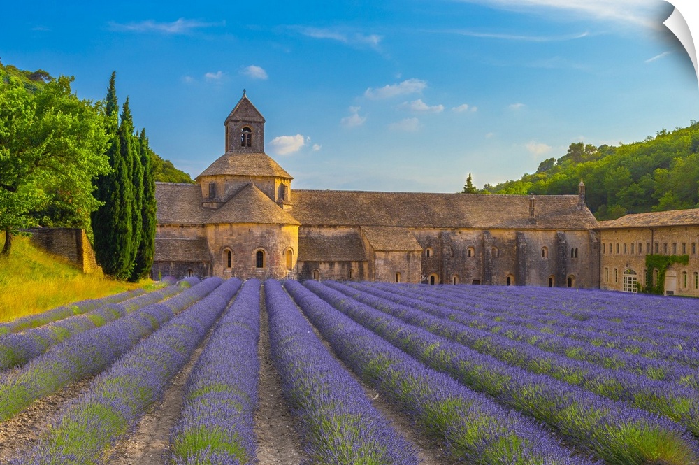 France, Provence-Alpes-Cote d'Azur, Gordes, Senanque Abbey, Provence, Notre-Dame de Senanque abbey with lavender fields.