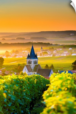 France, Grand Est, Ville-Dommange, Marne, Classic Landscape In Champagne Region, France