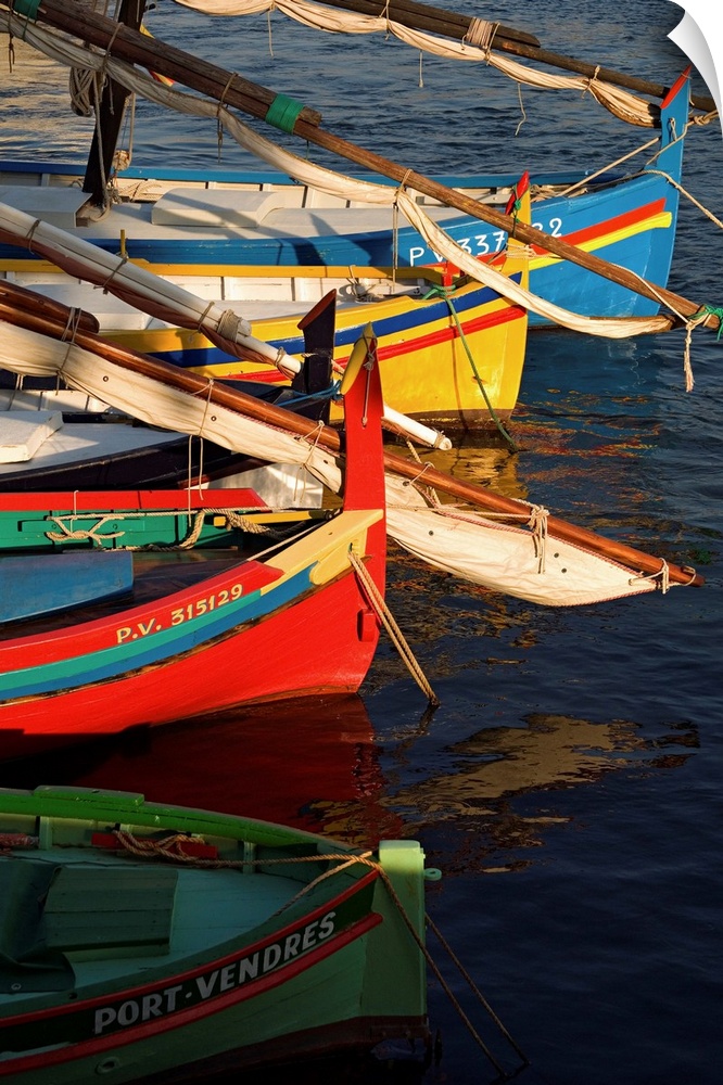 France, Languedoc-Roussillon, Collioure town, Catalans (traditional fishing boats)