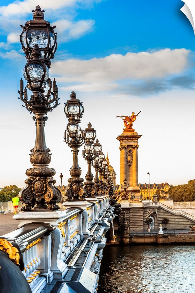 France, Paris, Alexander III Bridge.