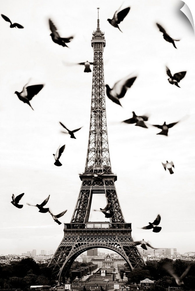 France, Paris, Birds in front of the Eiffel Tower.