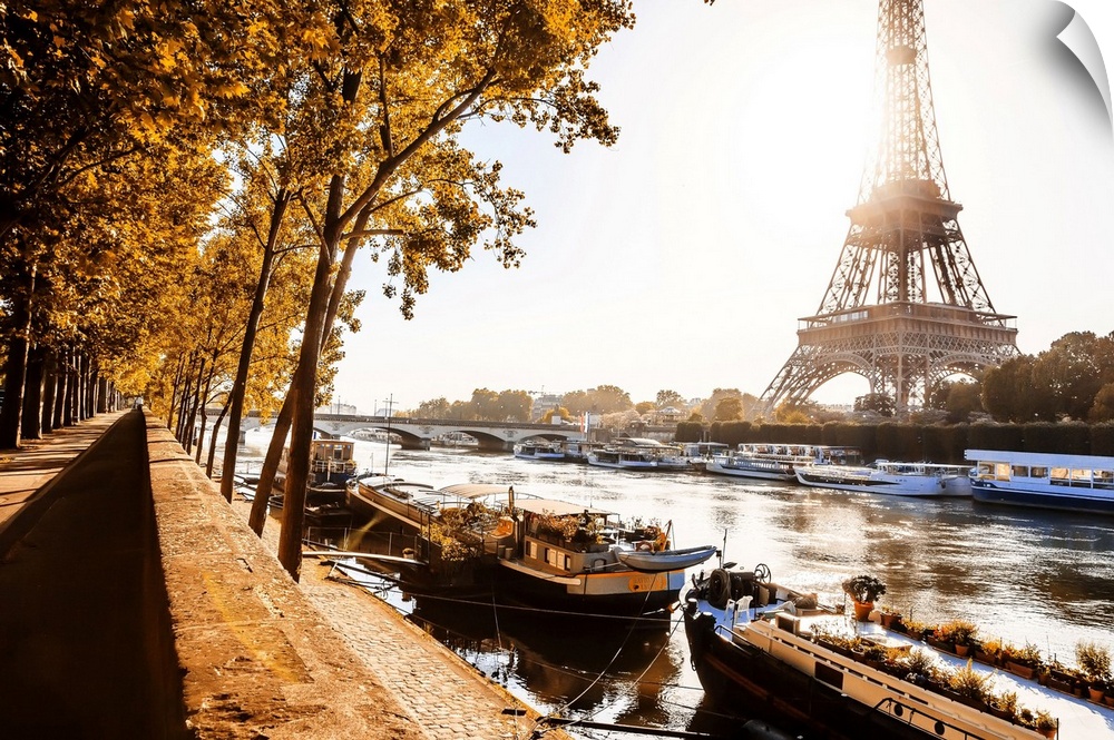 France, Ile-de-France, Seine, Ville de Paris, Paris, Invalides, The river Seine and Eiffel Tower in the foliage at sunrise