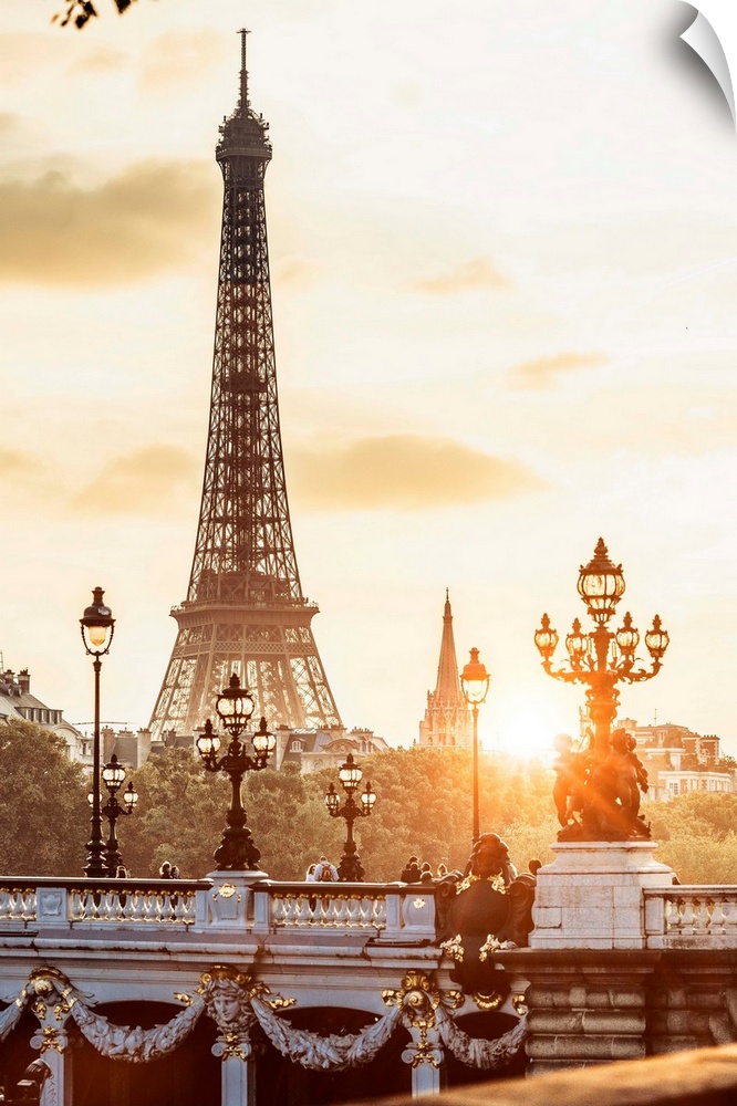 France, Paris, View Alexander III Bridge and Eiffel Tower.