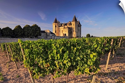 France, Pays de la Loire, Loire Valley, Maine-et-Loire, View of the imposing Castle