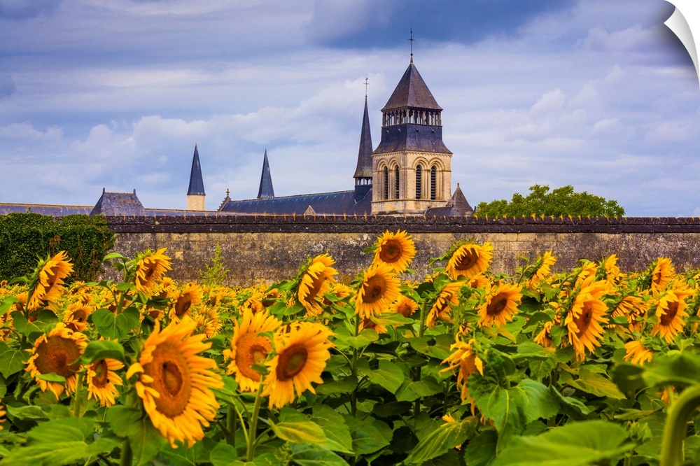 France, Pays de la Loire, Maine-et-Loire, Fontevraud-l'Abbaye, View of the church of the Fontevraud Abbey where is buried ...