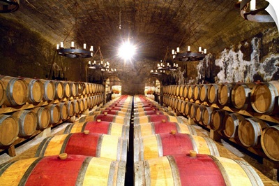 France, Provence-Alpes-Cote d'Azur, Chateau La Gardine, the wine-cellar