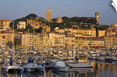 France, Provence-Alpes-Cote d'Azur, morning light illuminates the Vieux Port