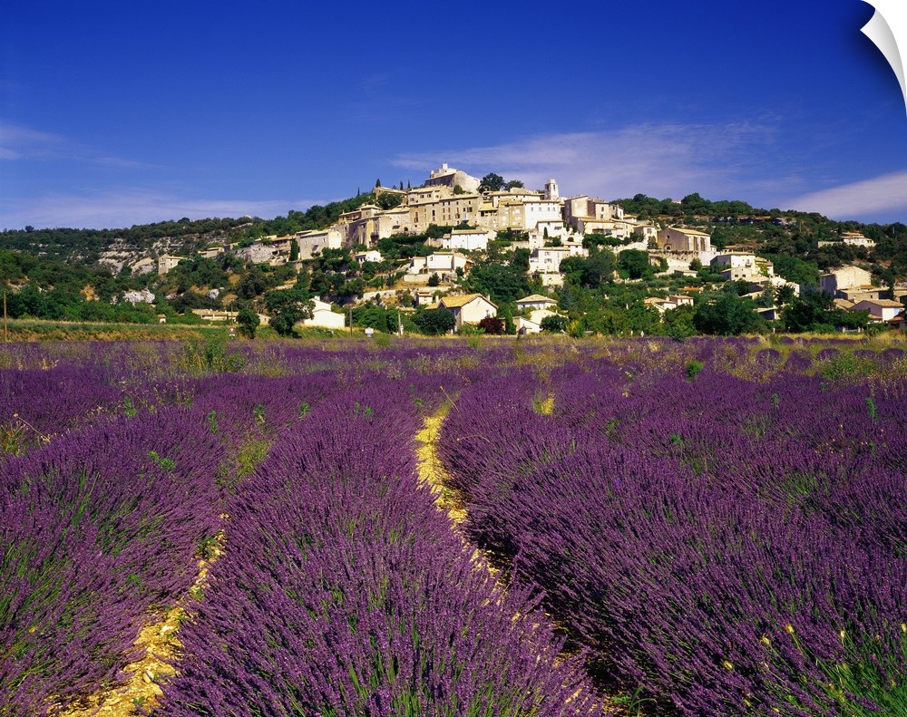 France, Provence-Alpes-C..te d'Azur, Simiane-la-Rotonde