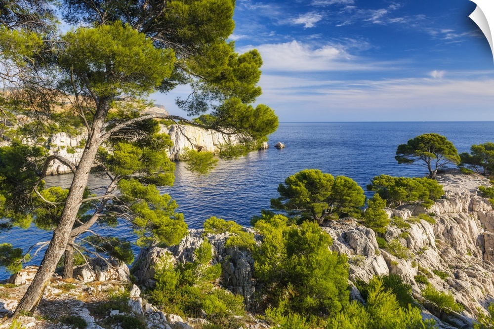 France, Provence-Alpes-Cote d'Azur, Cassis, Provence, Mediterranean sea, Cote d'Azur, French Riviera, Bouches-du-Rhone, Ca...