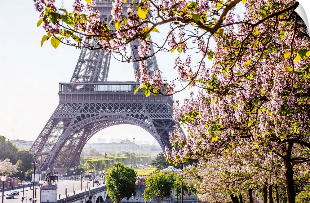 France, Ile-de-France, Ville de Paris, Paris, Invalides, Eiffel Tower, Eiffel Tower and flowering trees