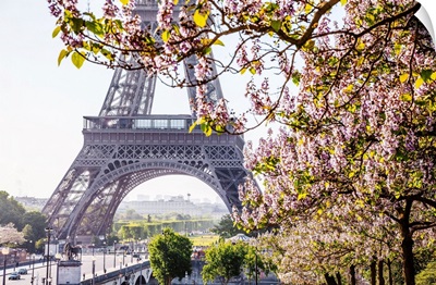 France, Ville De Paris, Paris, Invalides, Eiffel Tower, Eiffel Tower And Flowering Trees
