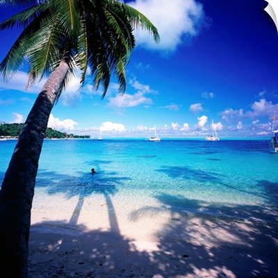 French Polynesia, Bora Bora, Rofau Bay, beach