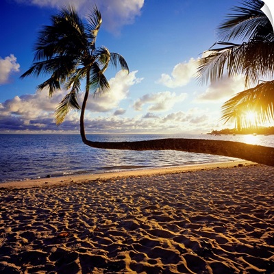 French Polynesia, Bora Bora, Rofau Bay, beach at sunset