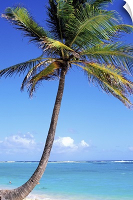 French West Indies, Marie Galante Island, Capesterre village, Feuillire beach