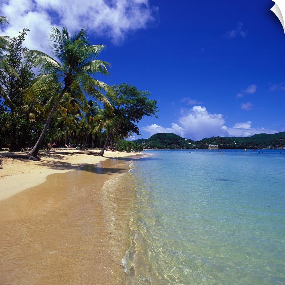 French Antilles, French West Indies, Martinique, Caribbean, Caribs, Club Med Les Boucaniers, beach