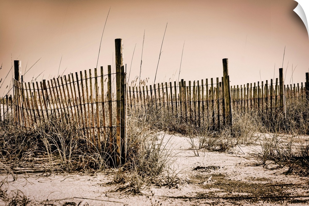 Georgia, Tybee Island, beach scene with wooden fence on sand dunes.