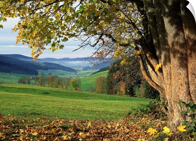 Germany Baden-Wurttemberg, Black Forest, Landscape near St Peter village