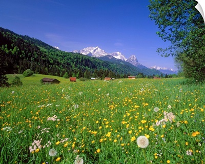 Germany, Bavaria, Oberbayern, meadow and Zugspitze mountain range in background