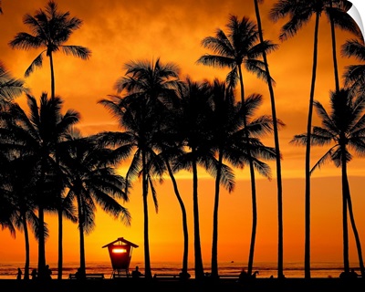 Hawaii, Oahu, Honolulu, Waikiki beach at sunset with palm-trees