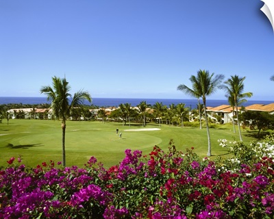 Hawaii, Tropics, Pacific ocean, Big Island, Kona coast, Mauna Loa Village, golf course