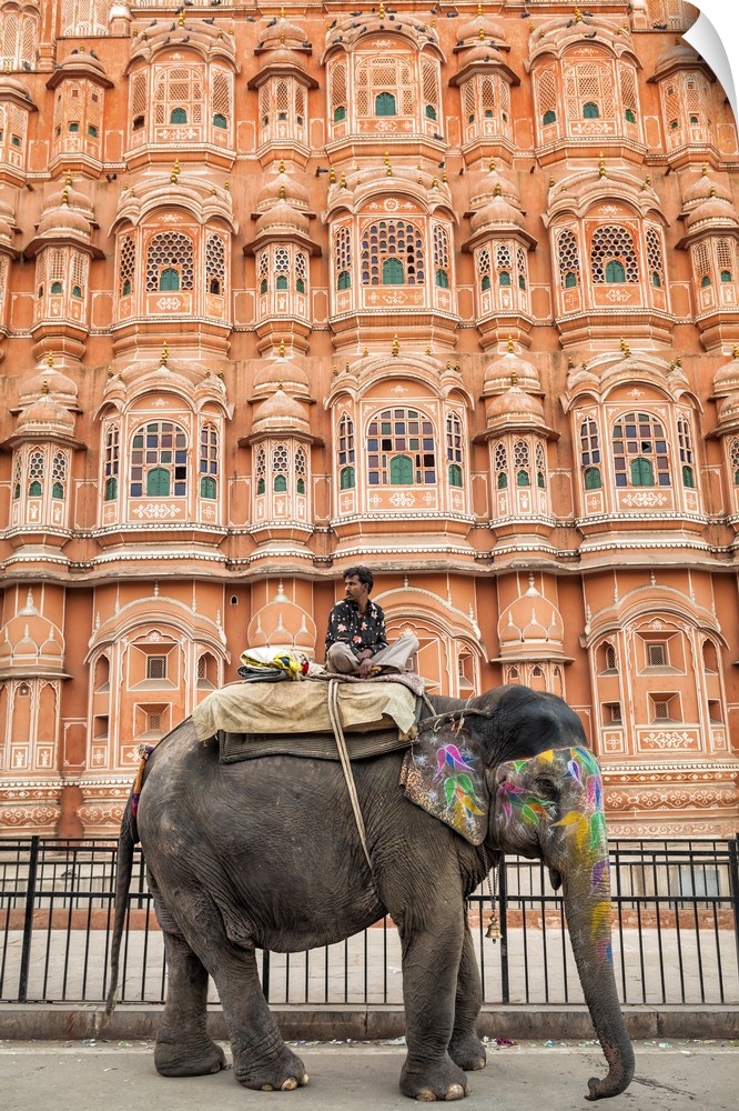 India, Rajasthan, Jaipur, Man and his painted elephant outside Hawa Mahal (Palace of Winds).
