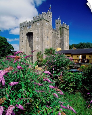 Ireland, County Clare, Bunratty Castle near Limerick town