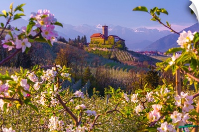 Italy, Alps, Trento District, Trentino, Tassullo, Castel Valer And Apple Trees In Spring