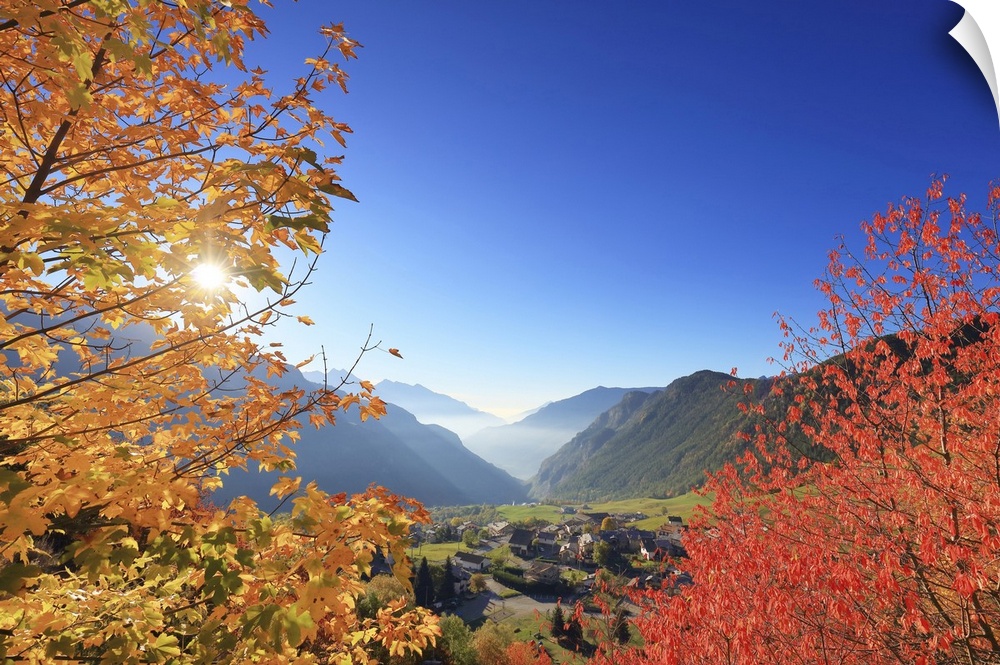 Italy, Aosta Valley, Aosta district, Valtournenche, Torgnon, Alps, Autumn morning.