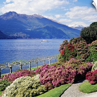Italy, Bellagio, Como district, Villa Melzi, park with rhododendron on lakeside