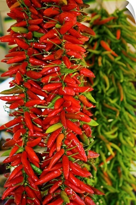 Italy, Calabria, Catanzaro, Hot peppers