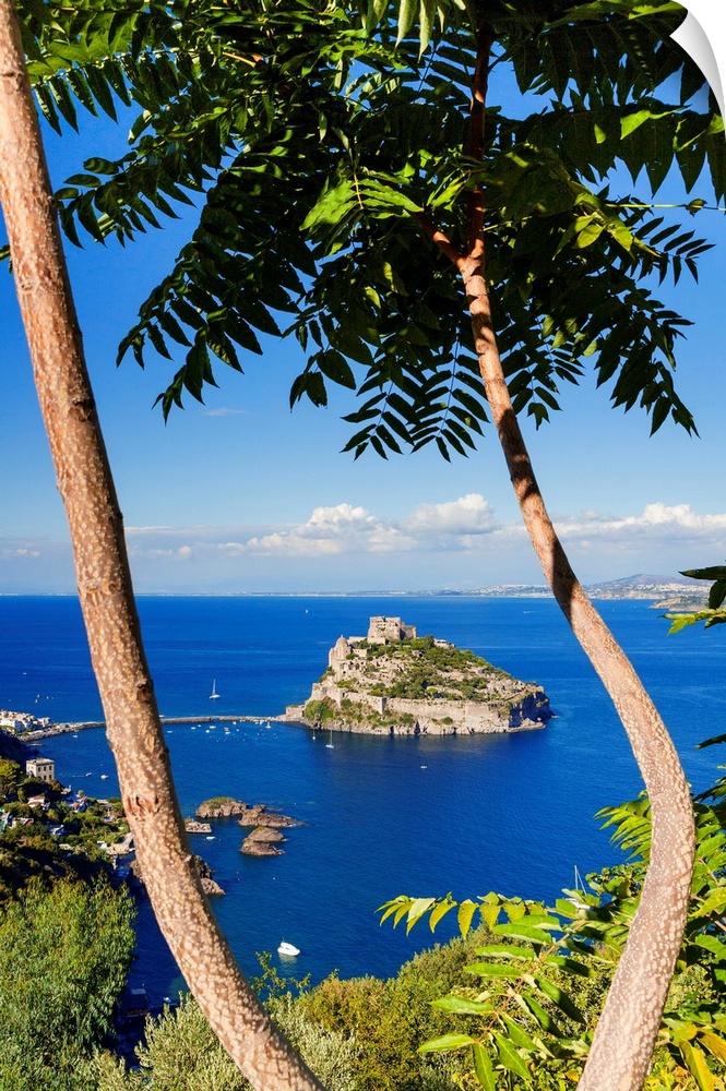 Italy, Campania, Mediterranean sea, Tyrrhenian sea, Tyrrhenian coast, Napoli district, Ischia Island, Ischia Ponte, Aragon...
