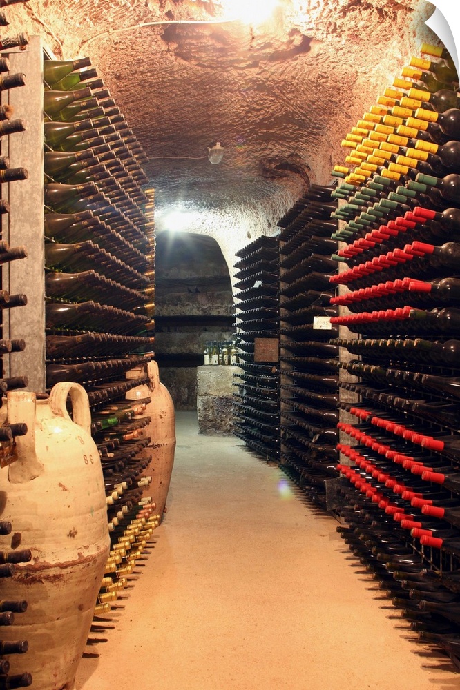 Italy, Campania, Sant'Agata dei Goti, Wine cellar Mustilli