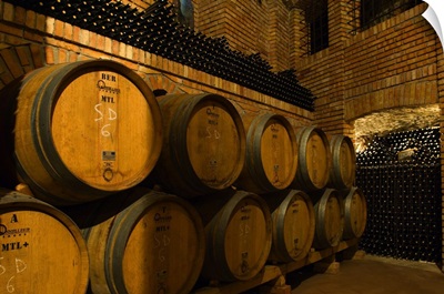 Italy, Campania, Taurasi, Avellino district, Wine cellar