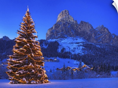 Italy, Corvara, Christmas tree with Sass Songher Mountain in the background