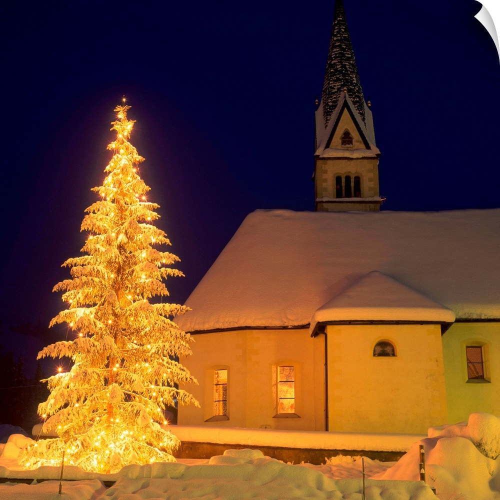 Italy, Dolomites, Arabba, Christmas tree