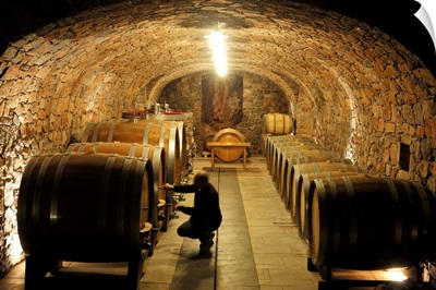 Italy, Friuli-Venezia Giulia, Colli Orientali, Prepotto, wine cellars, Zidarich winery