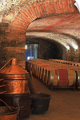 Italy, Friuli-Venezia Giulia, Collio, Capriva del Friuli, Spessa Castle, wine cellar