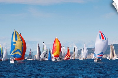 Italy, Friuli-Venezia Giulia, Trieste, Barcolana regatta